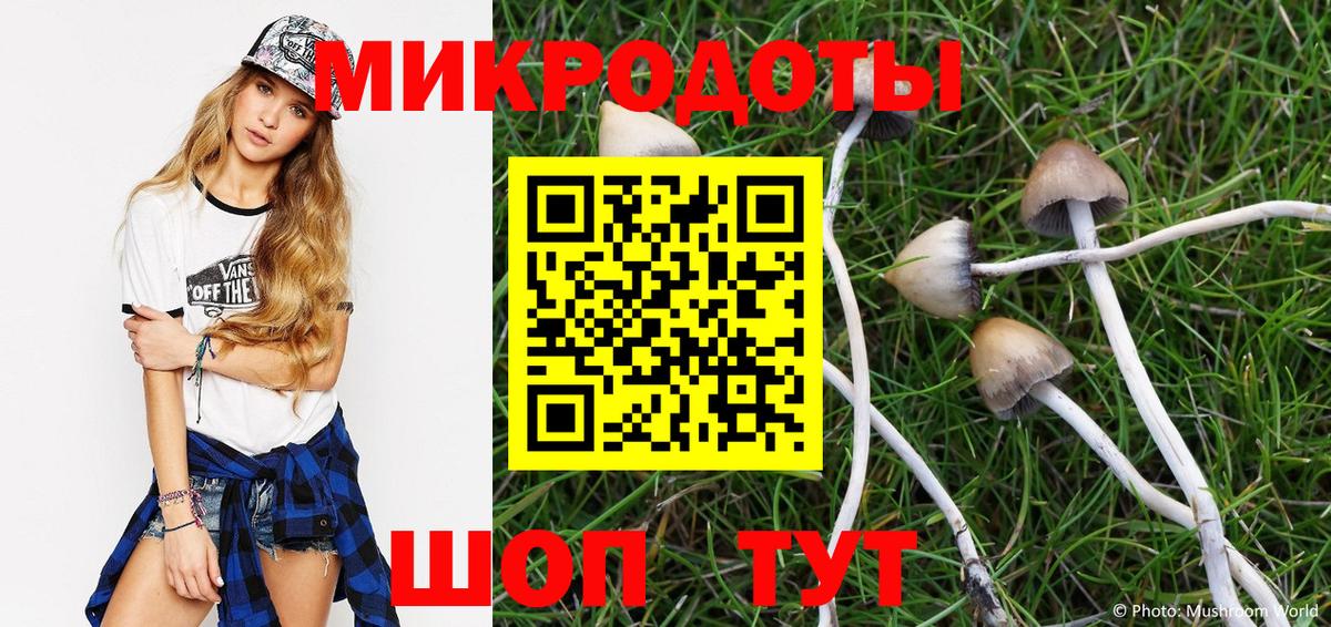Славгород  Псилоцибиновые грибы Cubensis  Вход с VPN  Галлюциногенные грибы мухоморы 
